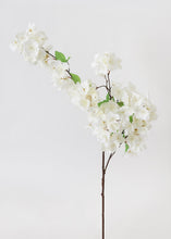Afloral Cherry Blossom in Cream White SLK-FSB655-WH