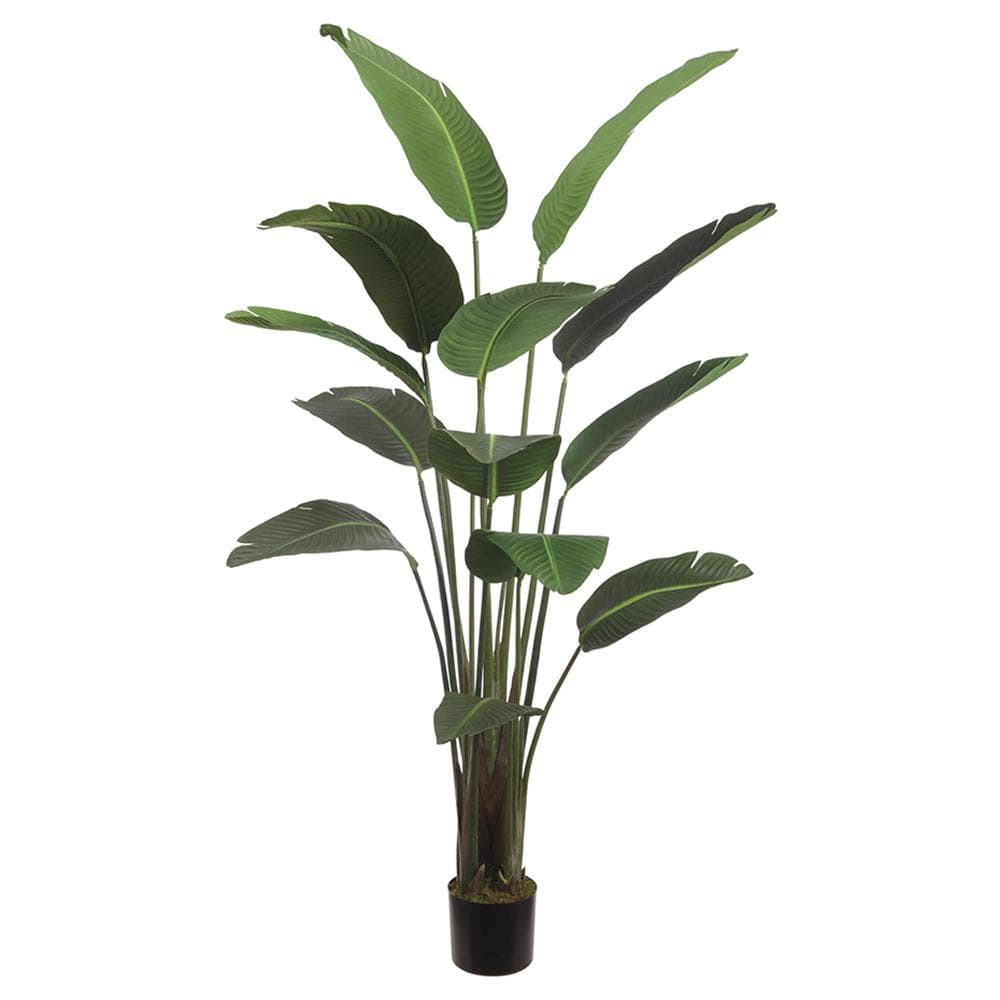 Faux Birds of Paradise – Megan Molten