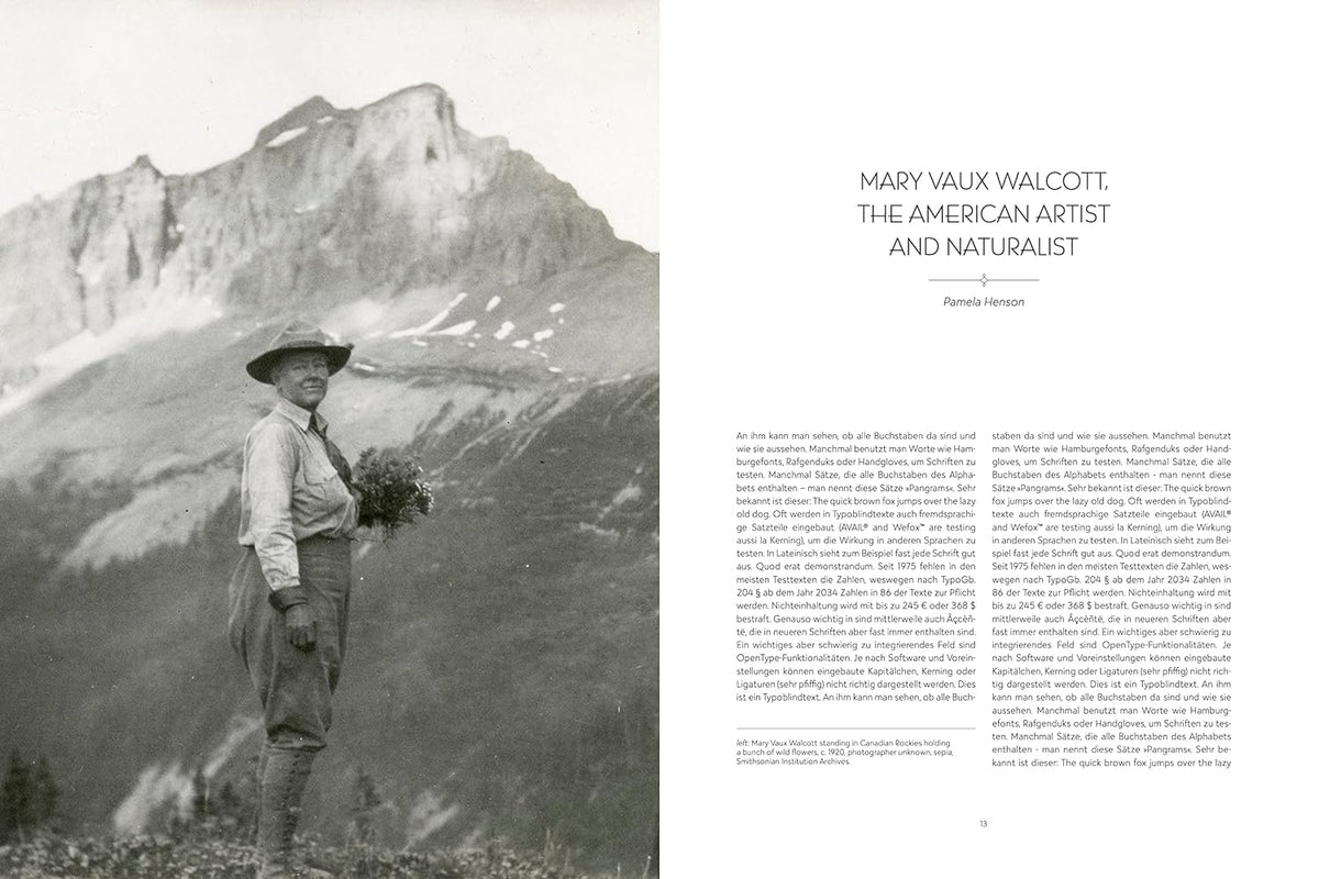 Wild Flowers of North America Megan Molten