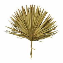 Creative Co-op Dried Palm Leaf Bunch Decor DF5965