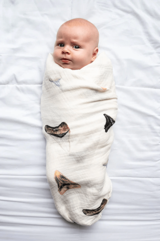 Shark swaddle 2025