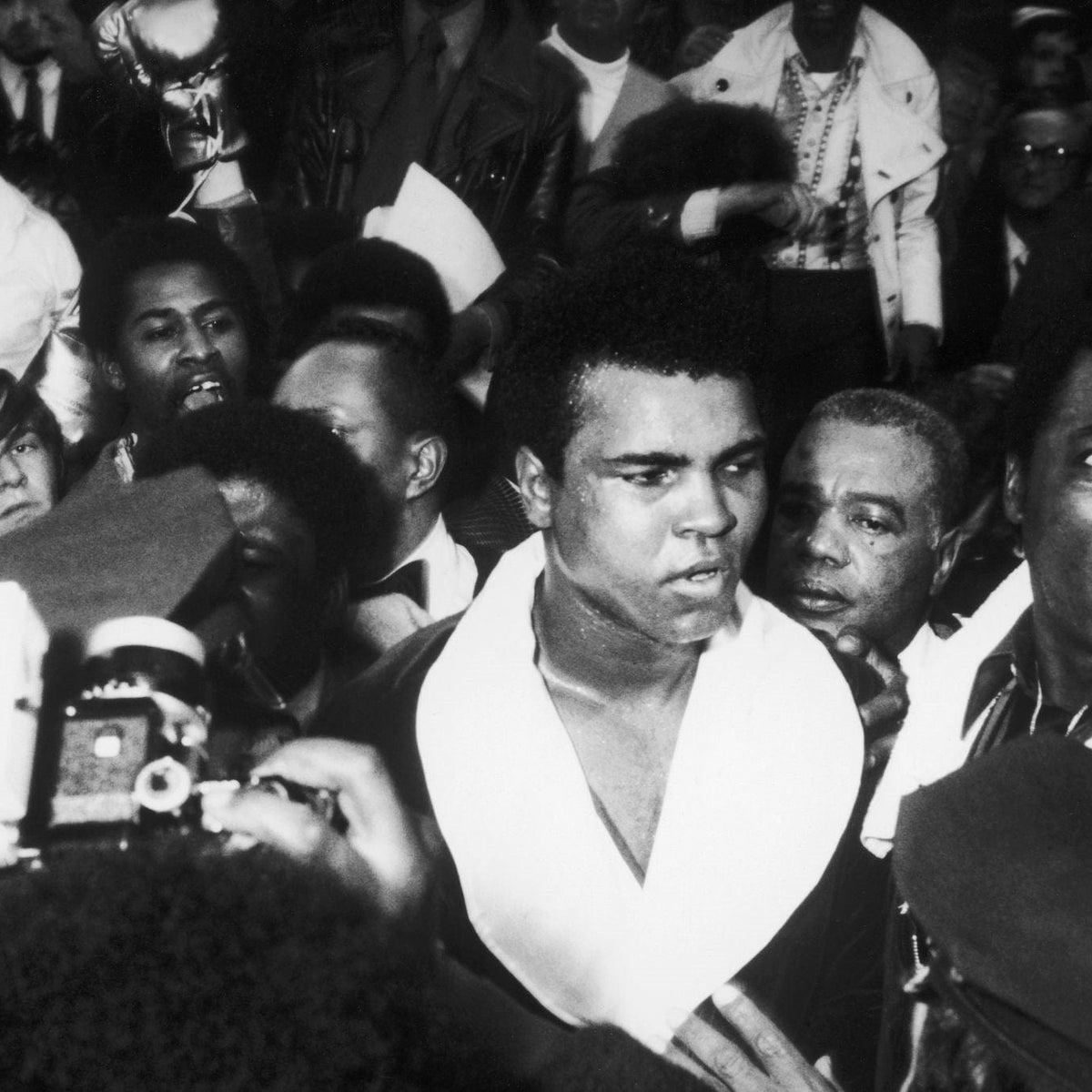 ACC Art Books Icons Books