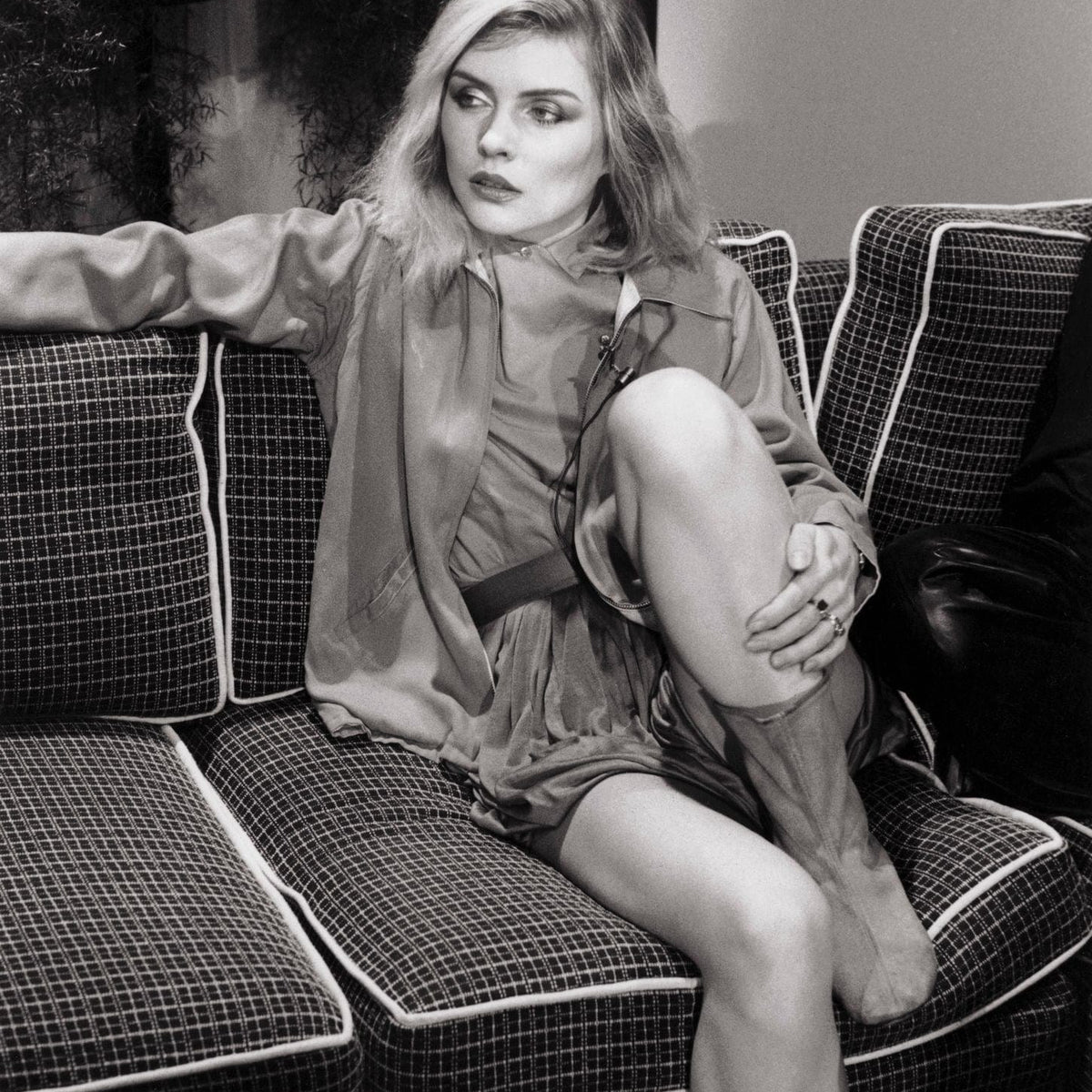 ACC Art Books Icons Books