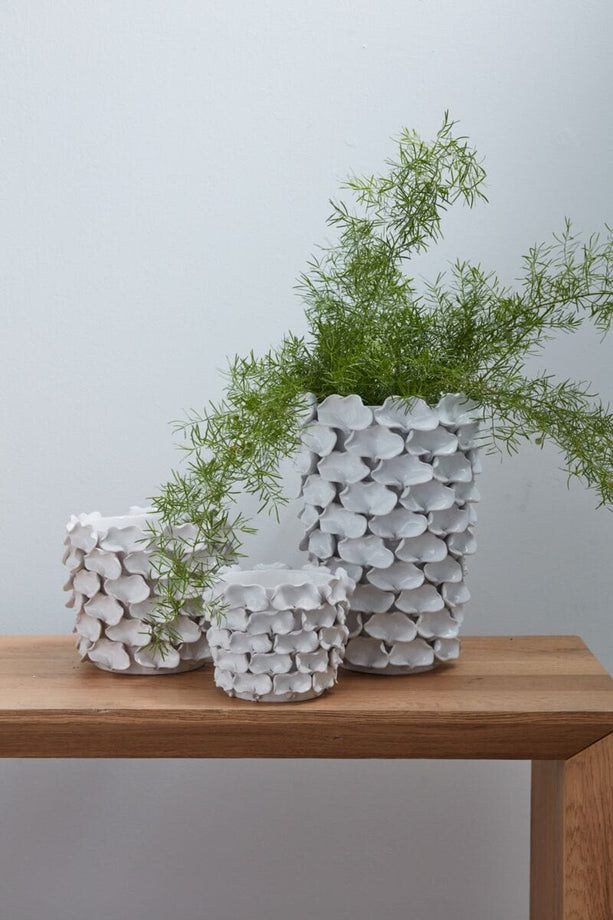 Mandy Pot - secondary