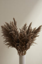 Accent Decor Brown Fluffy Pampas Bunch Dried Flowers 66662.25