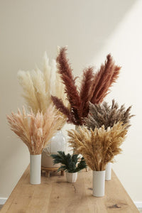Accent Decor Brown Fluffy Pampas Bunch Dried Flowers 66662.25