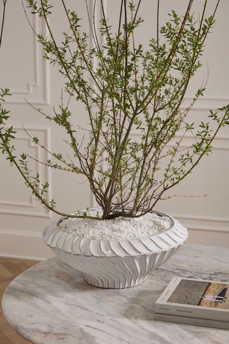 Accent Decor Caliza Bowl Bowl 91865.01