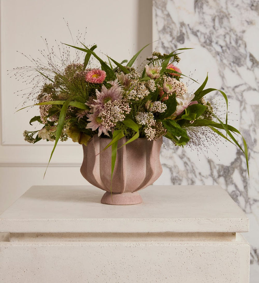 Claudia Compote - secondary