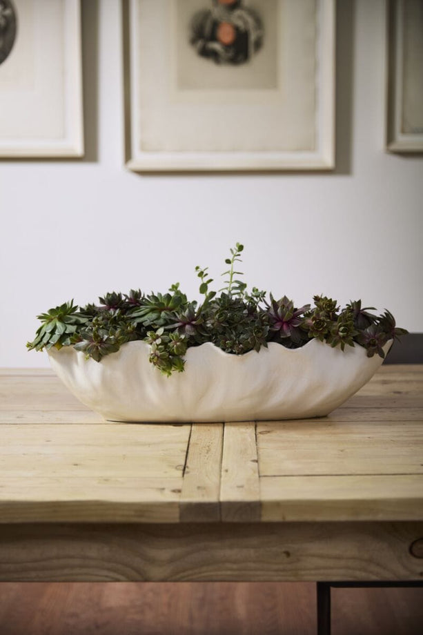 Coastline Trough - secondary