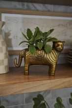 Accent Decor Copy of Tiger Planter Pots & Planters