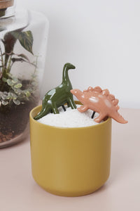 Accent Decor Dinosaur Friends Plant Sticks Drinkware 55790.00