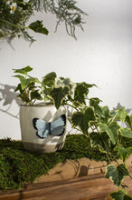 Accent Decor Flutter Pot Pots & Planters
