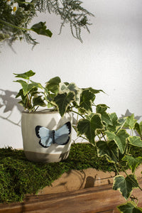 Accent Decor Flutter Pot Pots & Planters