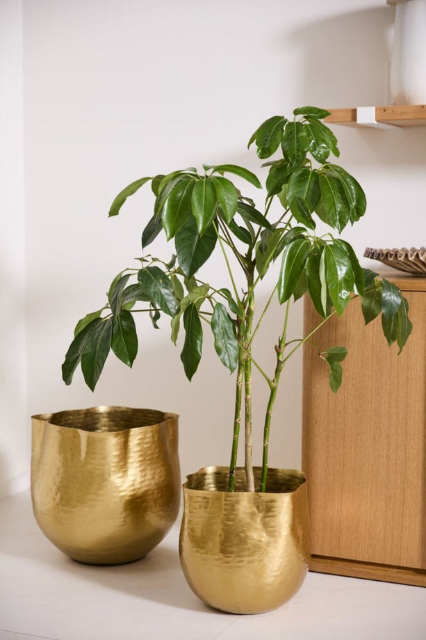 Hammered Gold Pot - secondary