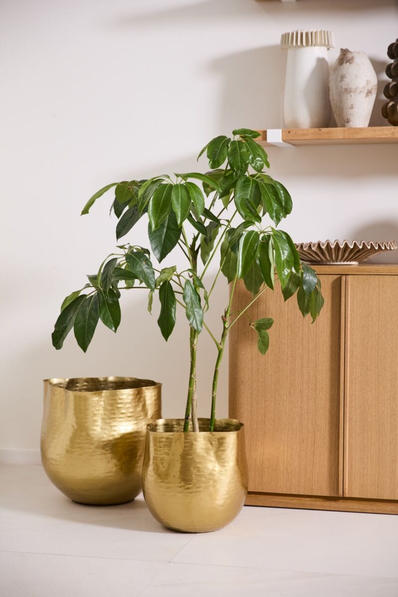 Accent Decor Hammered Gold Pot Pots & Planters