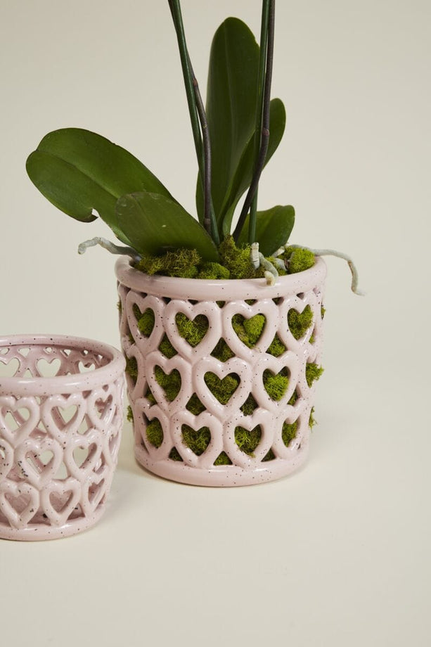 Hearts Orchid Pot - secondary