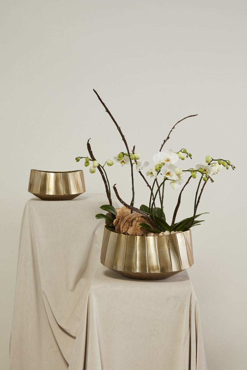 Accent Decor Helena Bowl Pot & Planter