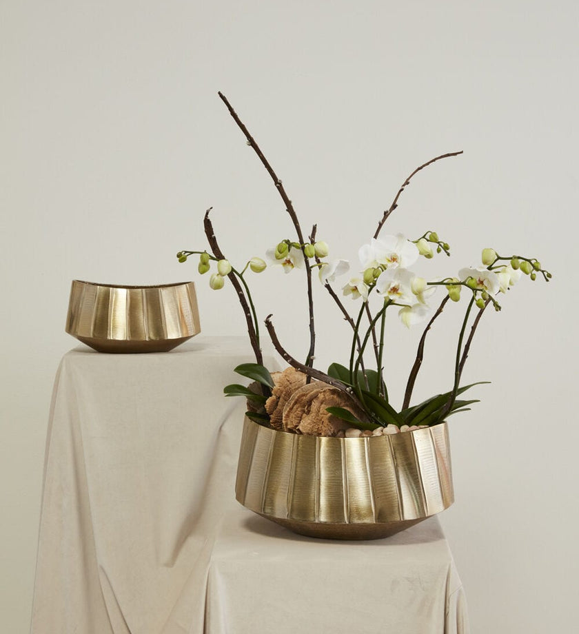 Helena Bowl - secondary