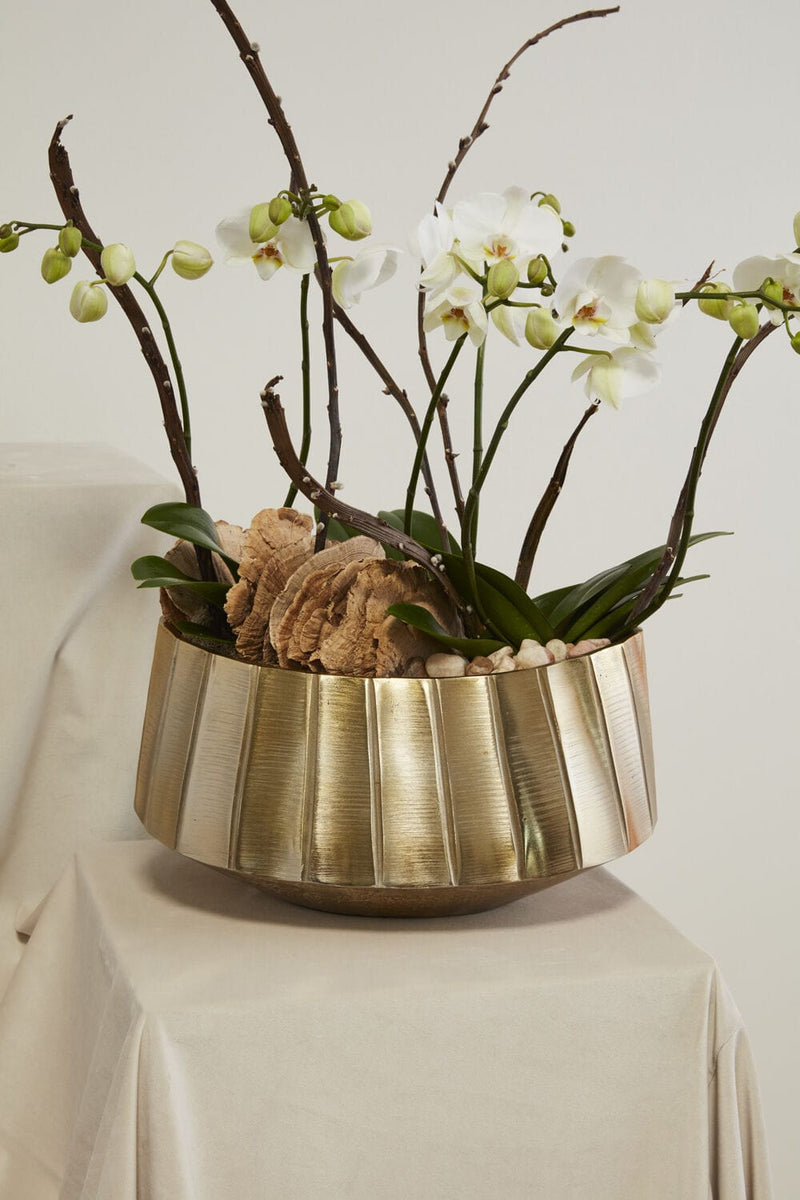 Accent Decor Helena Bowl Pot & Planter