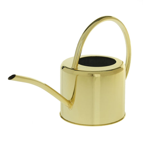 Accent Decor Henri Watering Can Watering Can 72581.00