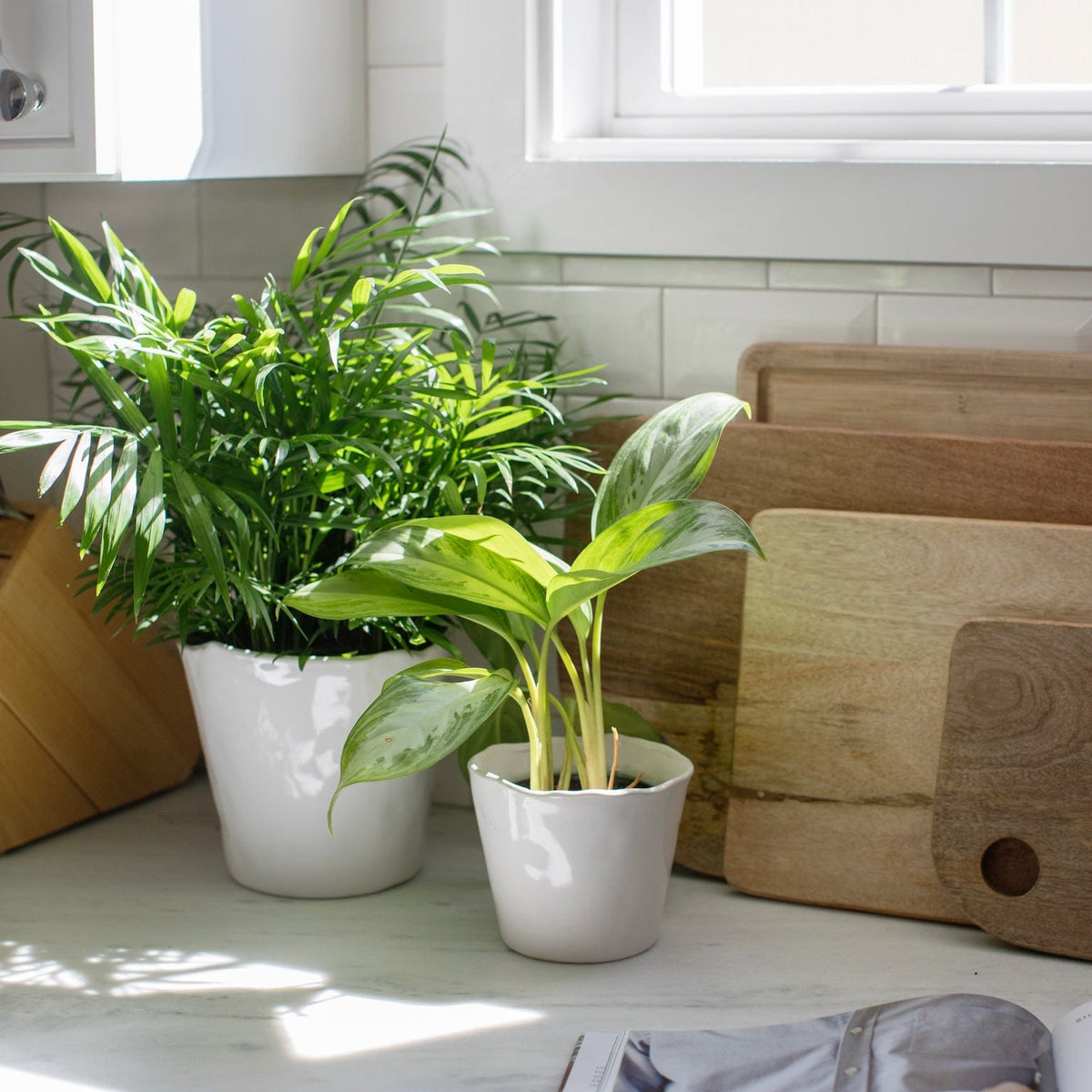 wavy plant pot Journey Wavy Pot – Megan Molten