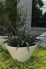 Accent Decor Lindi Pot Pots & Planters
