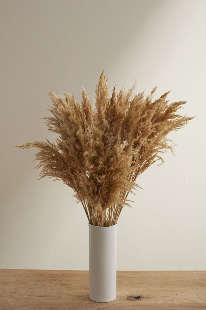 Accent Decor Mini Tan Pampas Bunch Dried Flowers 66661.57