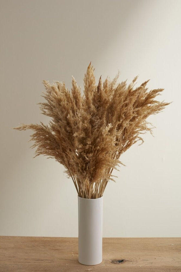Mini Tan Pampas Bunch - secondary