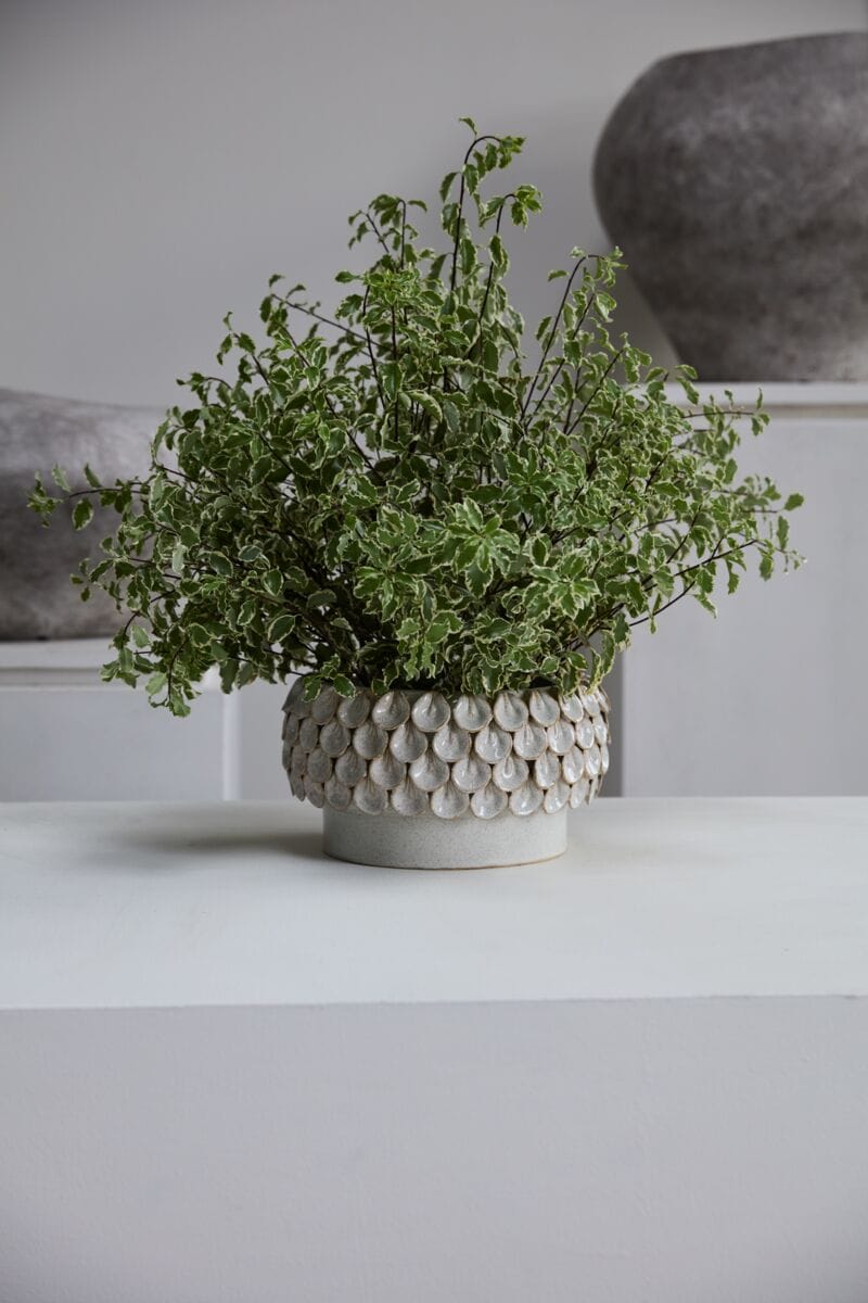 Accent Decor Mirabai Bowl Bowl 93596.01