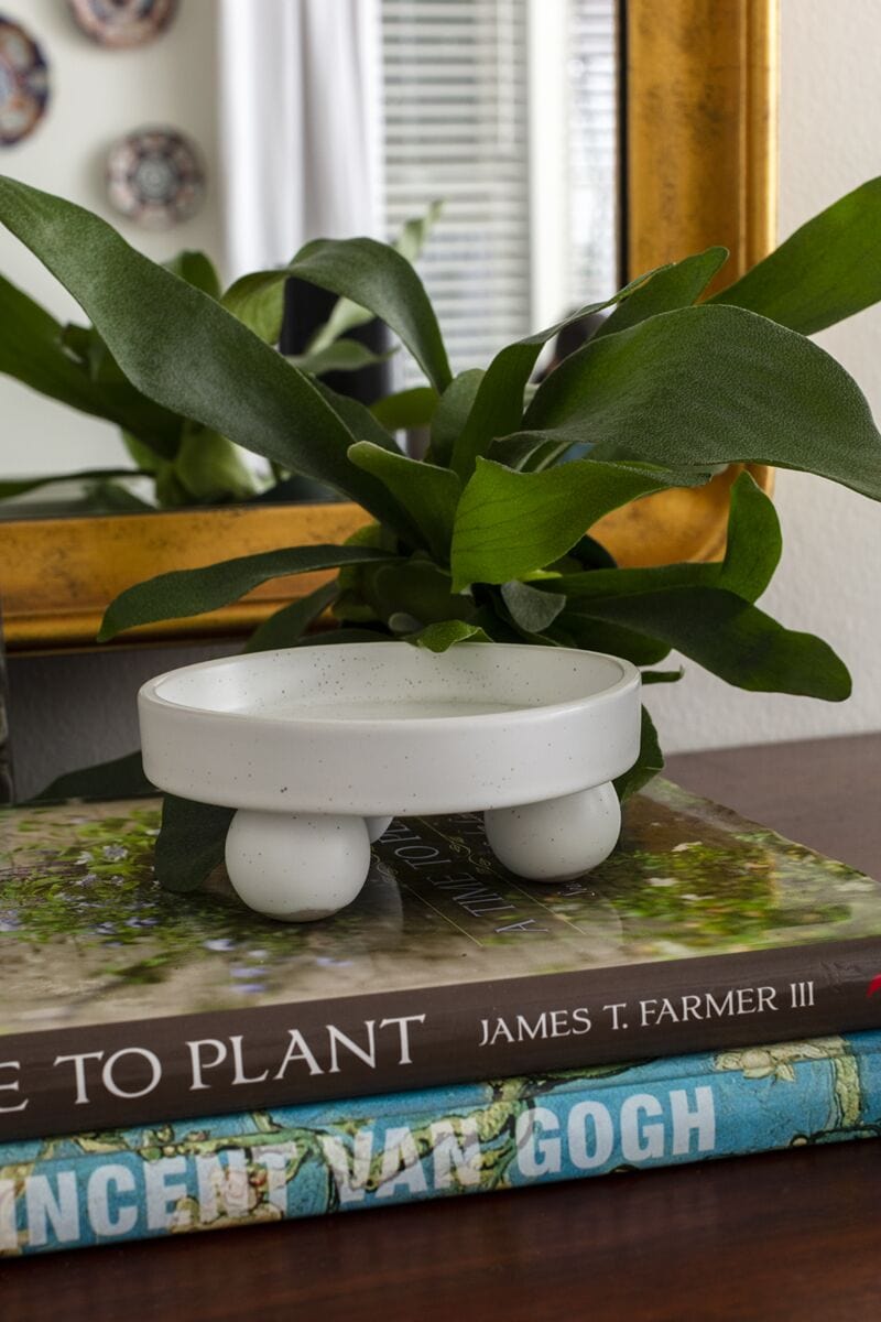 Accent Decor Nixie Tray Decorative Trays