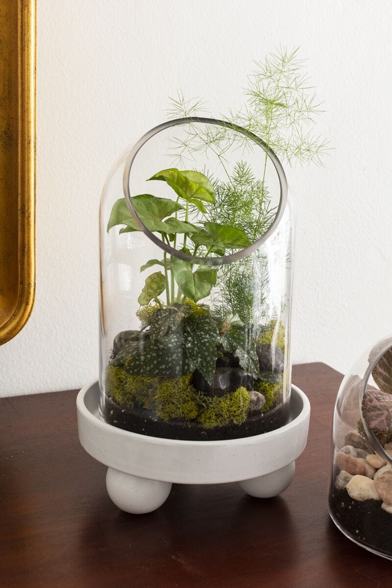 Accent Decor Nixie Tray Decorative Trays