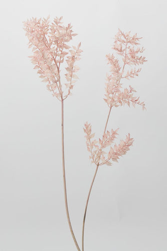 Accent Decor Pink Dried Ruscus floral 69740.04