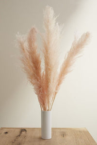 Accent Decor Pink Fluffy Pampas Bunch Dried Flowers