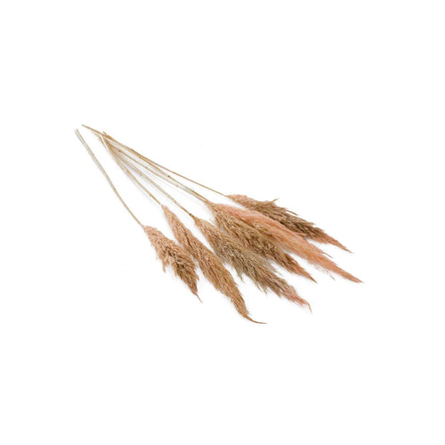 Accent Decor Pink Fluffy Pampas Bunch Dried Flowers 66661.04