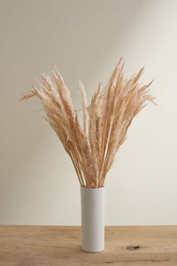 Accent Decor Pink Fluffy Pampas Bunch Dried Flowers 66661.04
