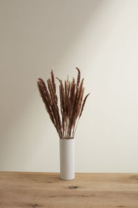 Accent Decor Slim Brown Dried Pampas Dried Flowers 66660.25