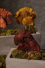 Accent Decor Sponge Mushroom Stem Dried Flowers 29974.00