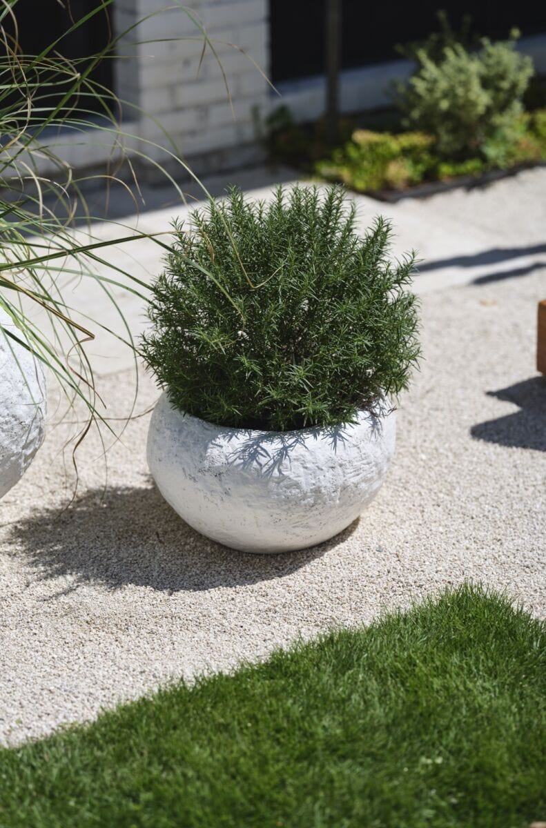 bowl planter pots Accent Decor Tahiti Bowl