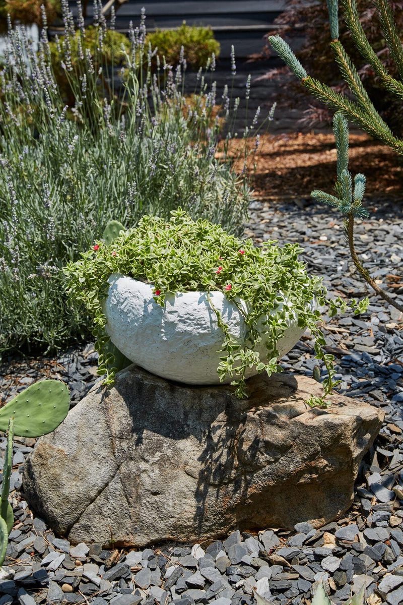 bowl planter pots Tahiti Bowl Planter