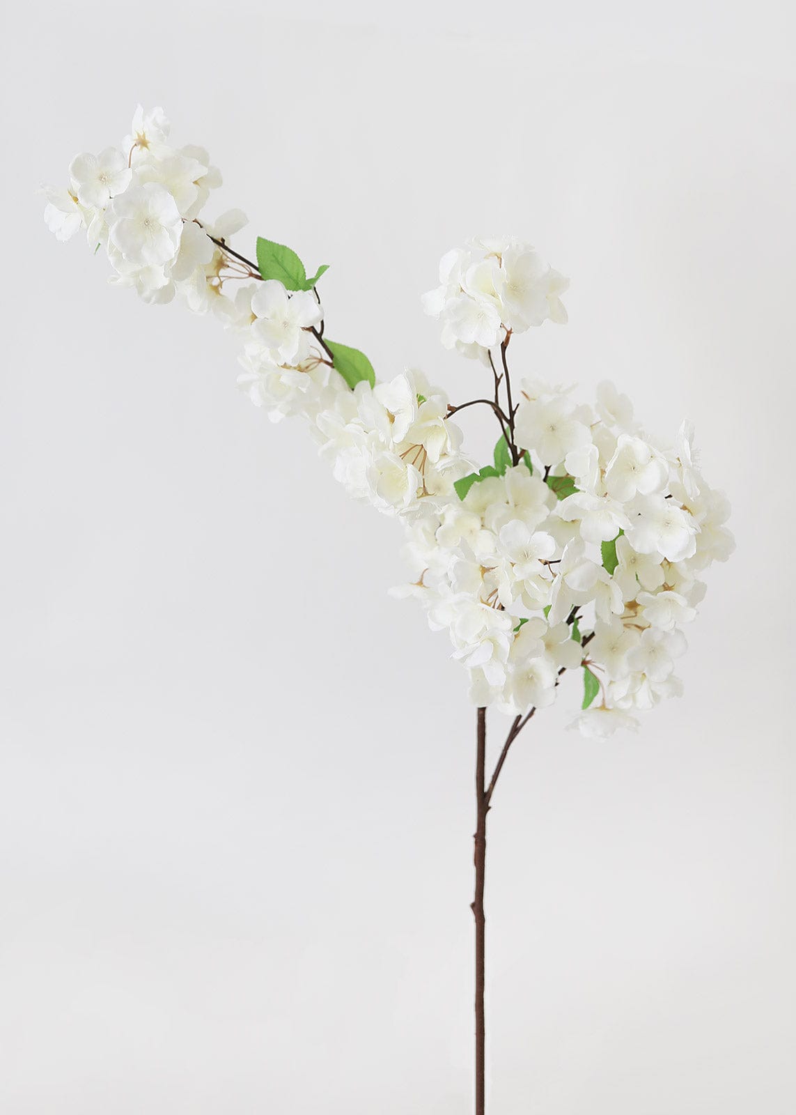 Faux Cherry Blossom in Cream White – Megan Molten