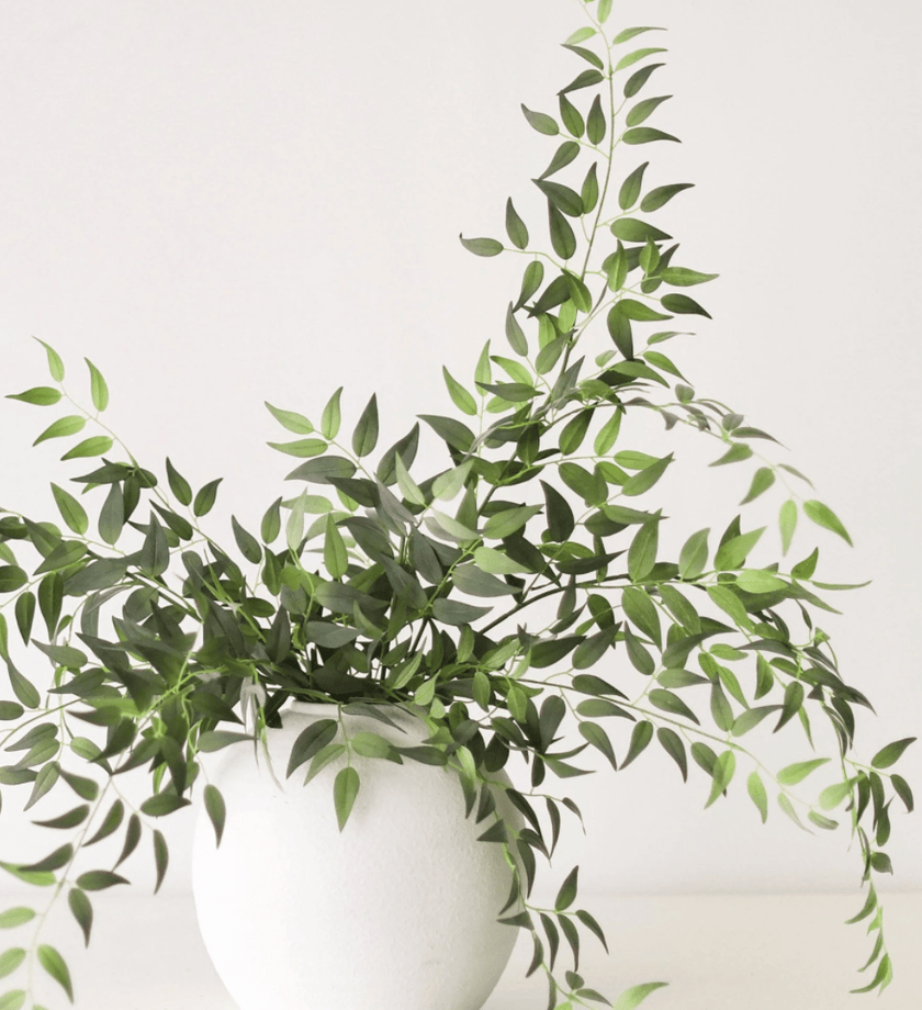 Faux Italian Ruscus Branch - secondary