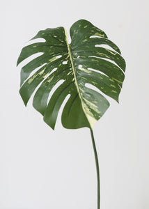 Afloral Philodendron Tropical Leaf Faux Plants SLK-PSP021-GR/TT