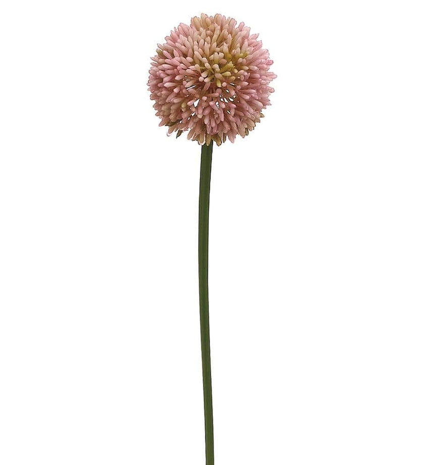 Allium Spray