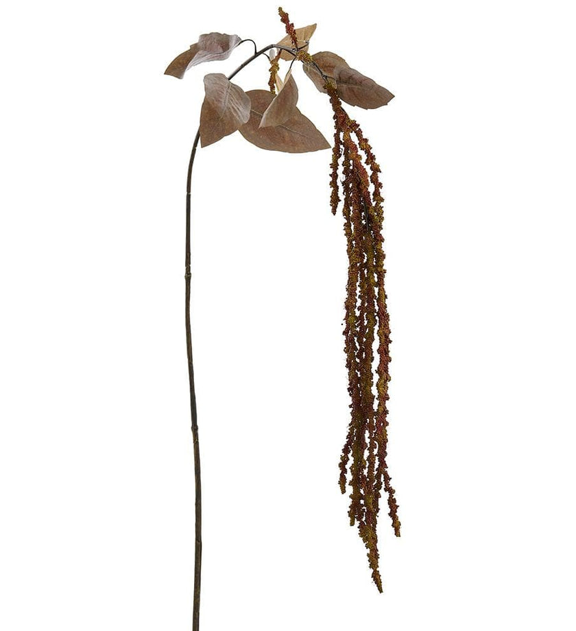 Amaranthus Hanging Spray