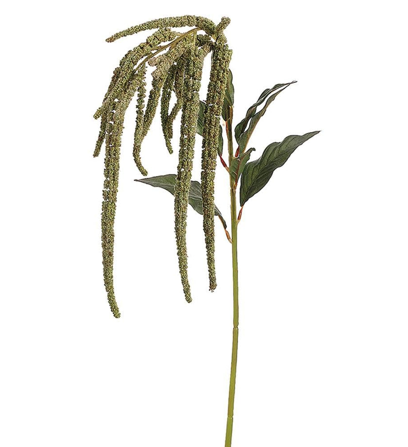 Amaranthus Spray