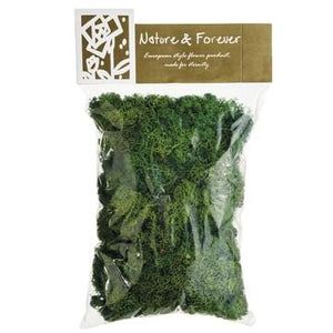Allstate Floral Assorted Preserved Reindeer Moss in Bag Faux Plants APS080-GR