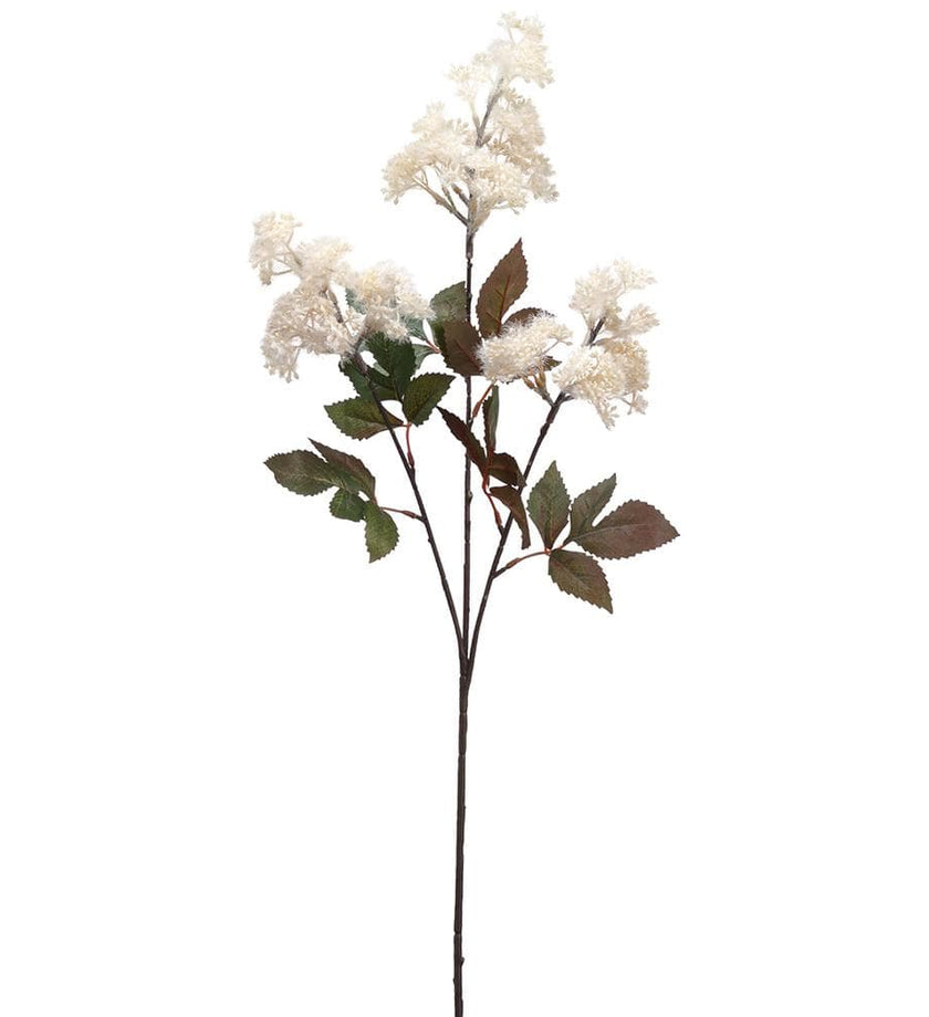 Astilbe Spray