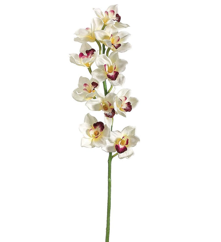 Cymbidium Spray