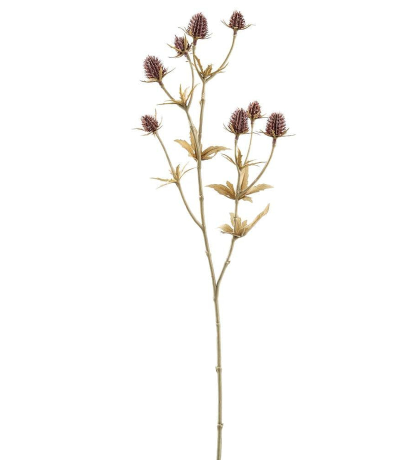 Eryngium Spray