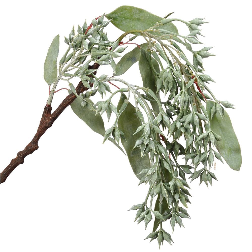 Allstate Floral Eucalyptus Seed Hanging Faux Plants PSE434-GR/WW